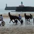course plage