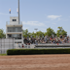 Tour galop et tribune découverte